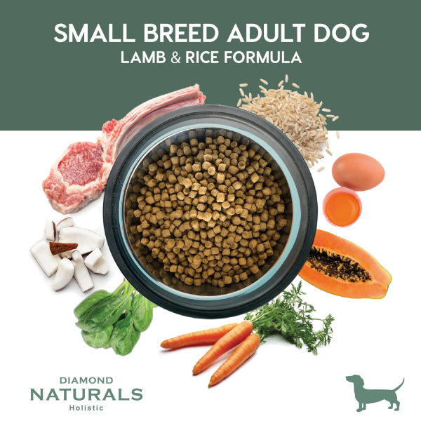 Diamond Naturals Small Breed cordero 8.16 kg