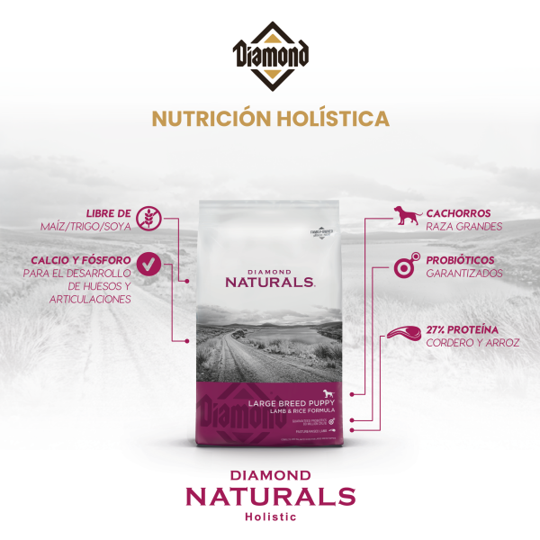 croqueta para cachorros Diamond Naturals Large Breed Puppy 18Kg
