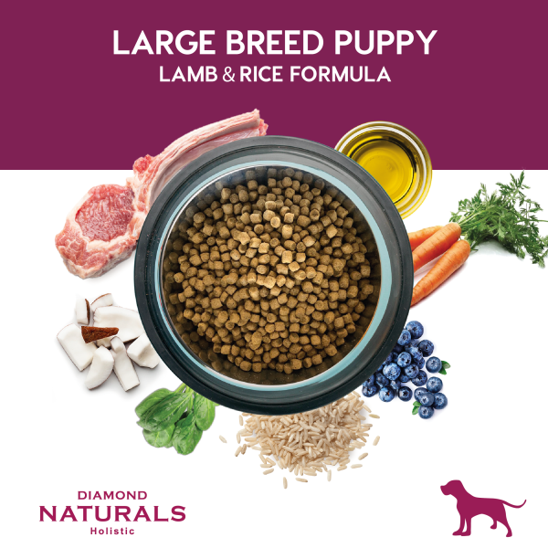 Diamond Naturals Large Breed Puppy 18 kg