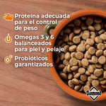 Cargar imagen en el visor de galería, croqueta para perro Diamond Maintenance Dog 18.14 Kg