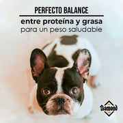 croqueta para perro Diamond Maintenance Dog 18.14 Kg