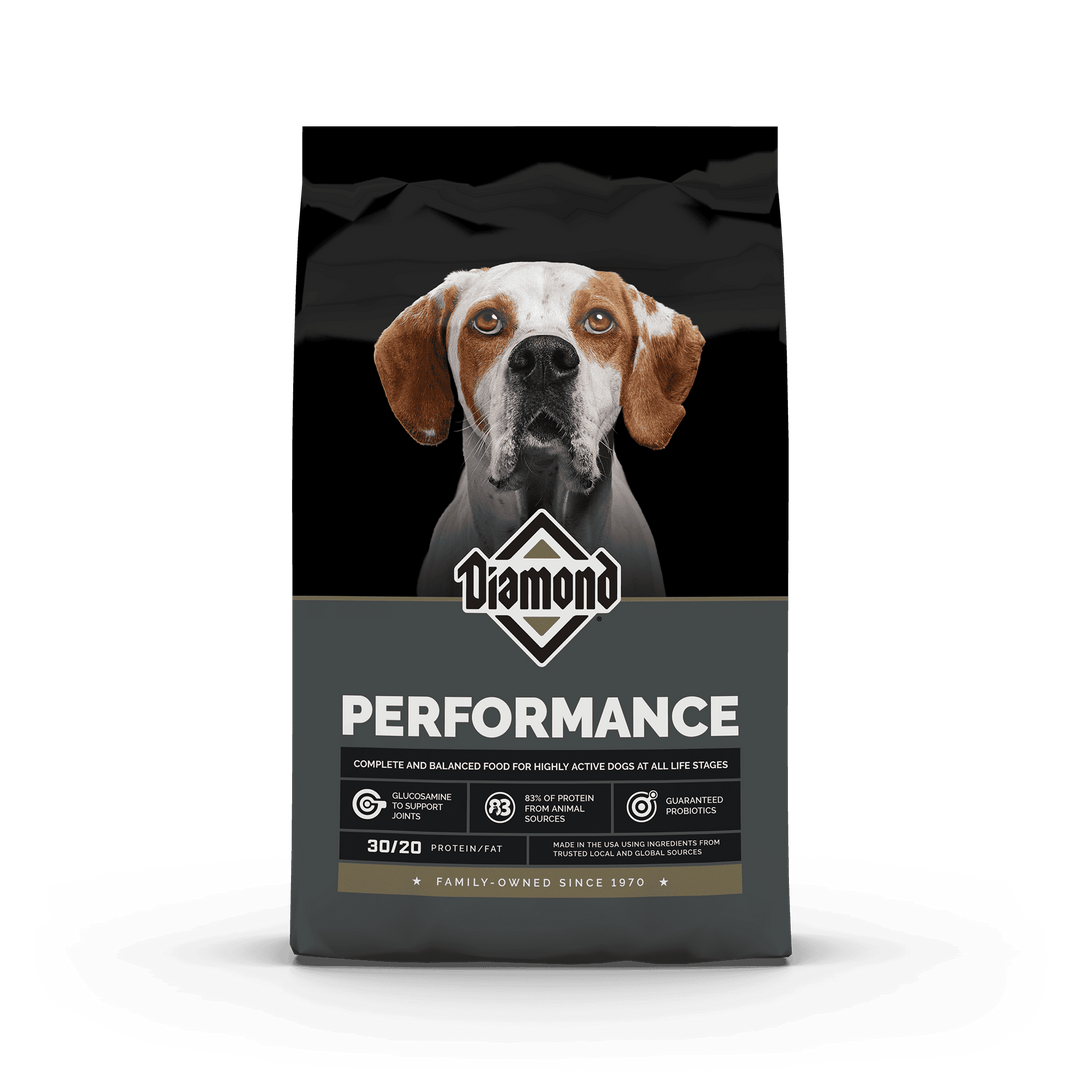 Croqueta premium para perros activos 