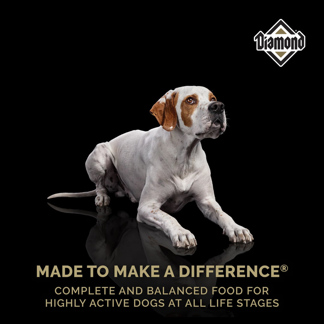 Croqueta premium para perros activos 