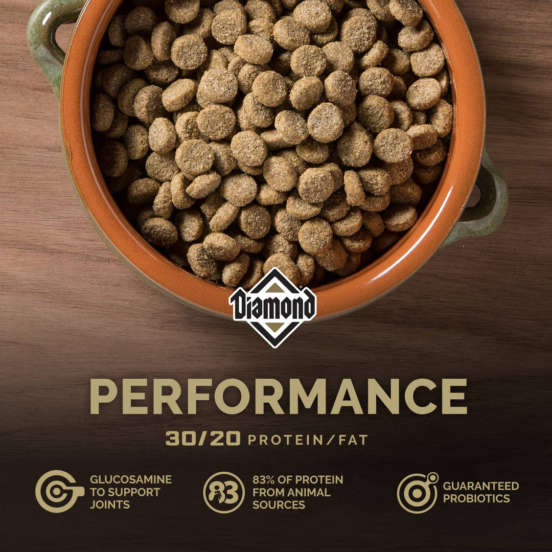 Croqueta premium para perros activos 