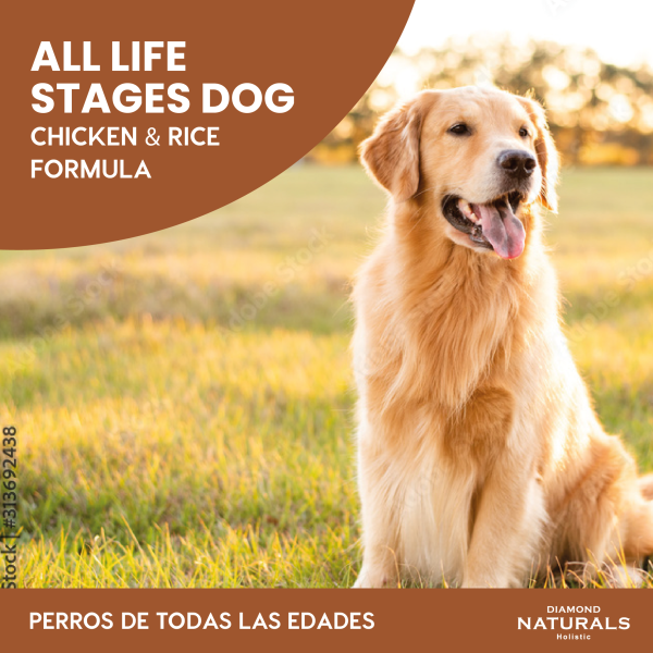 croqueta premium todas edades sabor pollo y arroz Diamond Naturals All Life Stages Chicken &amp; Rice 18.14 kg