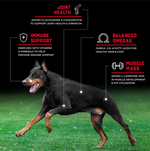 Cargar imagen en el visor de galería, croqueta para perro Super Premium Caninex Beef 18kg