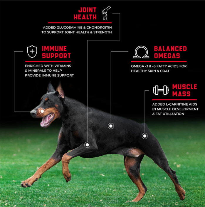 croqueta para perro Super Premium Caninex Beef 18kg