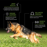 Cargar imagen en el visor de galería, croqueta para perro Super Premium Caninex Chicken 18kg