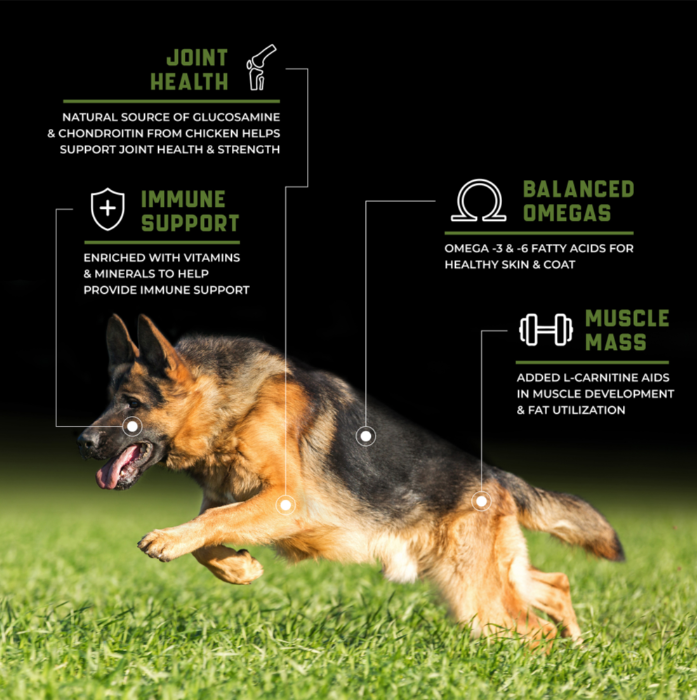 croqueta para perro Super Premium Caninex Chicken 18kg