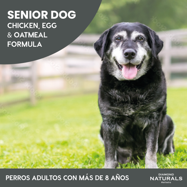 Diamond Naturals Senior Dog 15.87 kg
