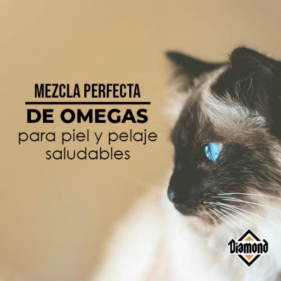 Croqueta Diamond Maintenance Cat 18.14 Kg para gato con actividad moderada y baja